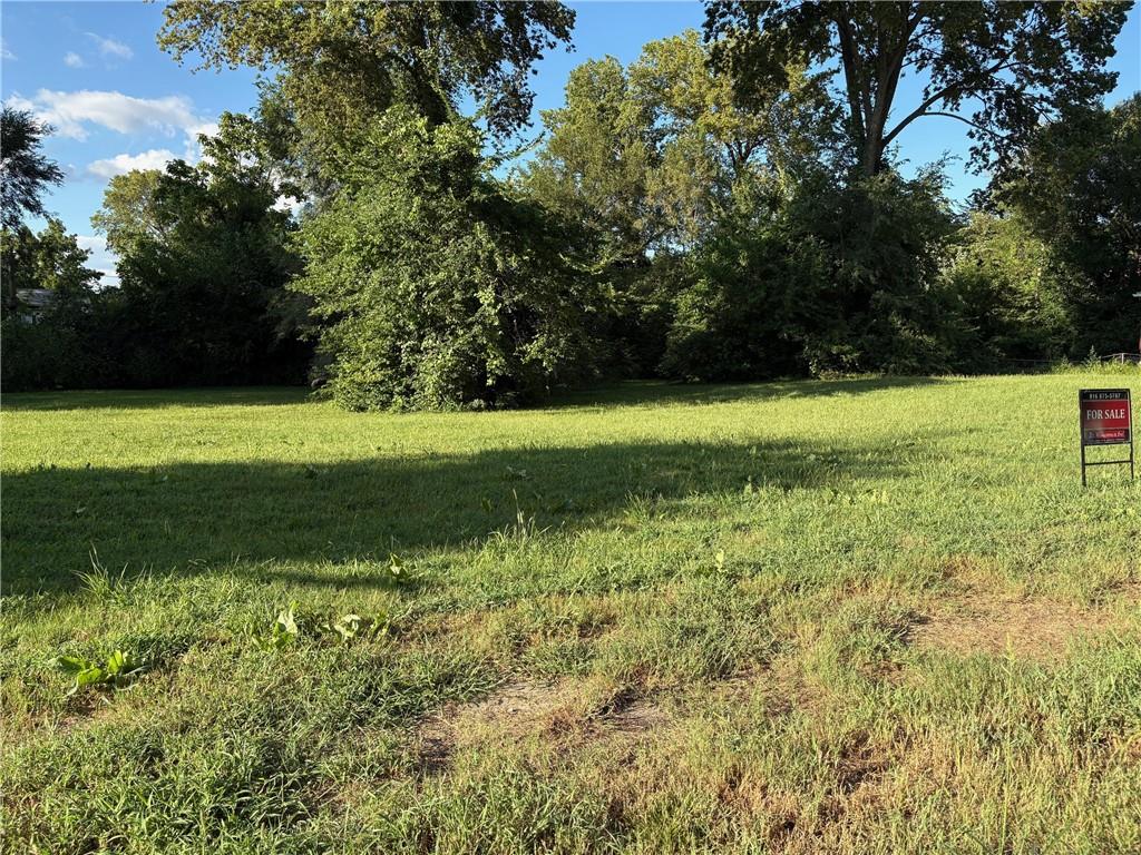 Listing Photo MLS #HMS2556322