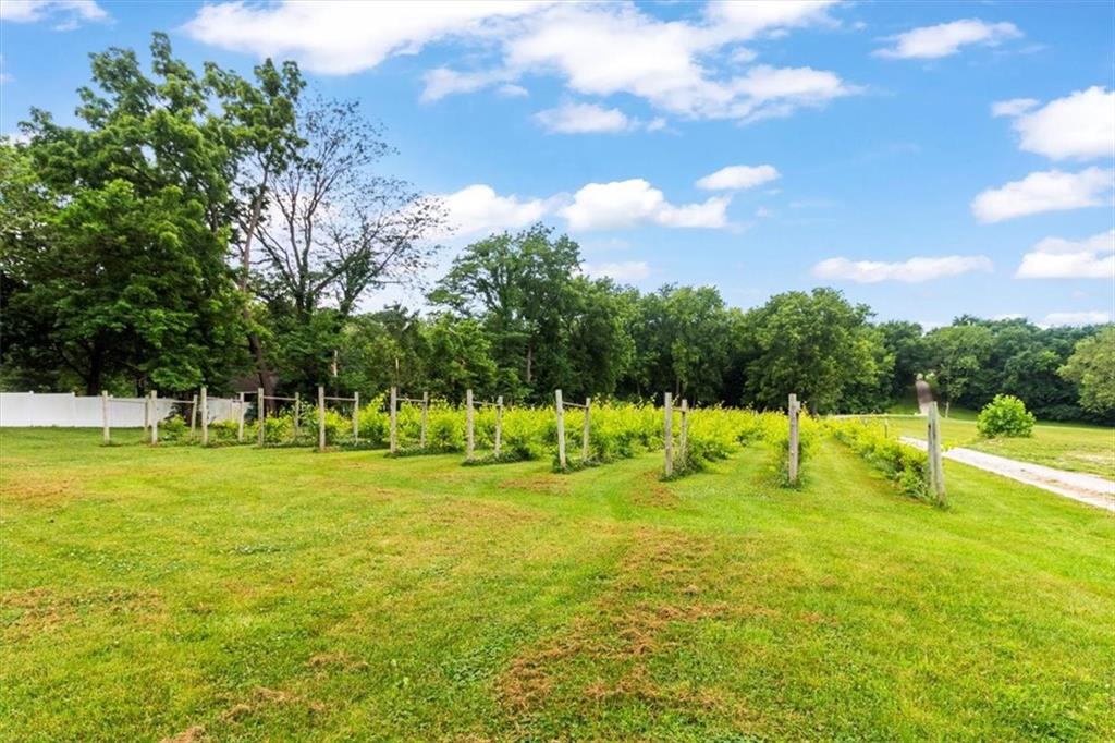 Listing Photo MLS #HMS2556481