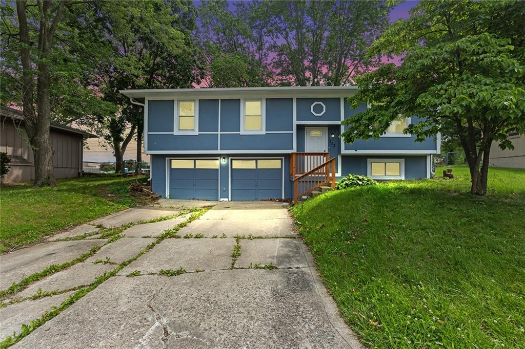 Listing Photo MLS #HMS2556837