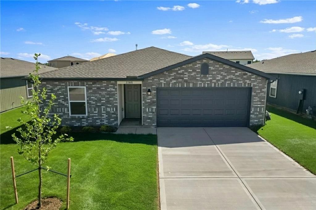 Listing Photo MLS #HMS2557692