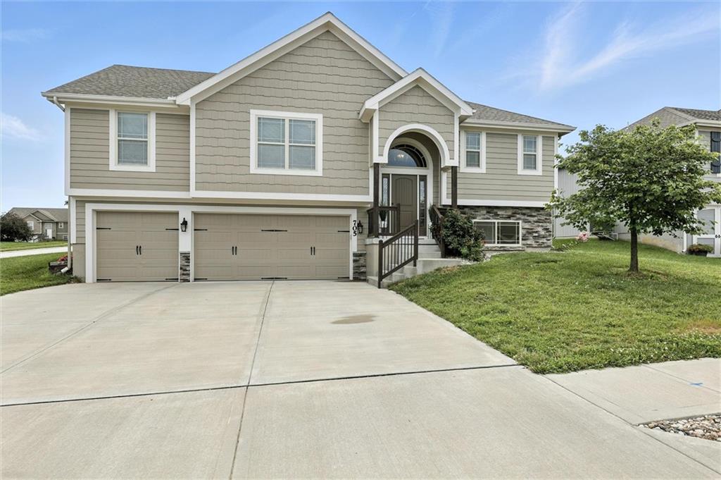 Listing Photo MLS #HMS2557961