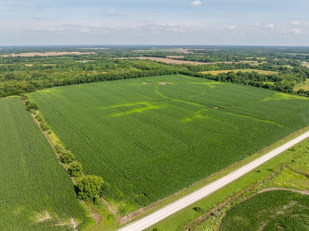 Listing Photo MLS #HMS2558189