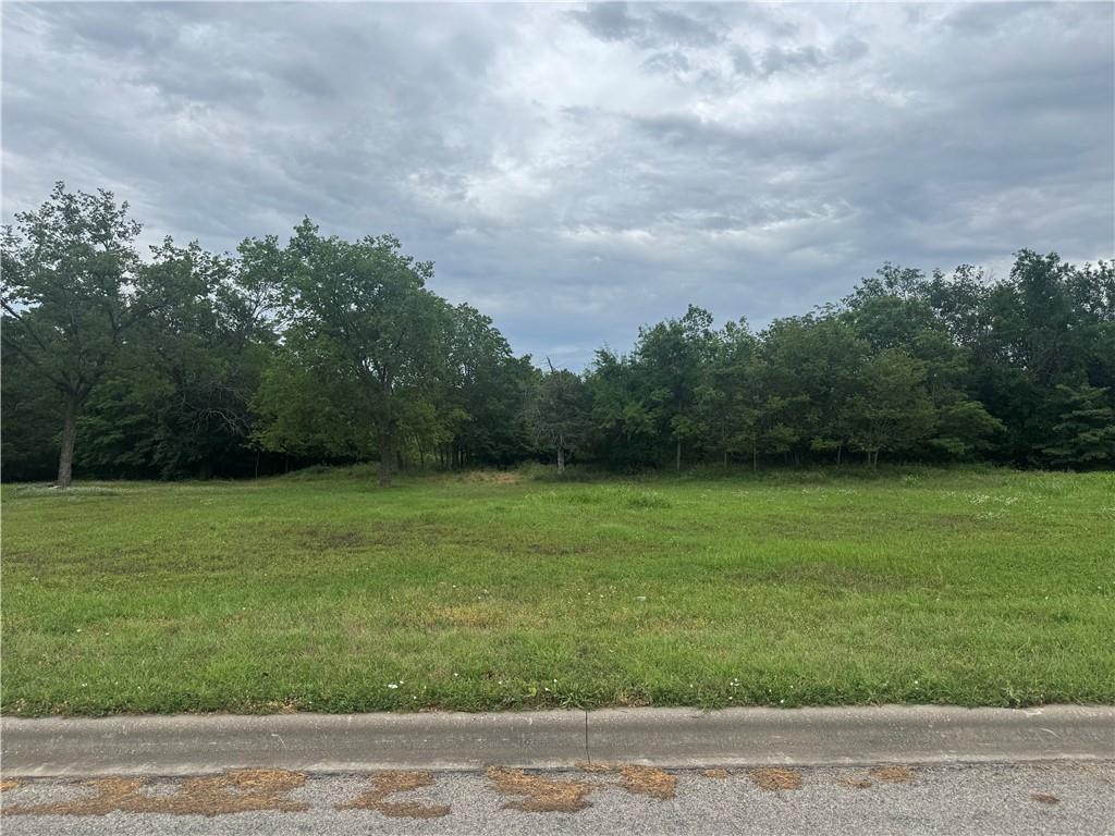 Listing Photo MLS #HMS2558732