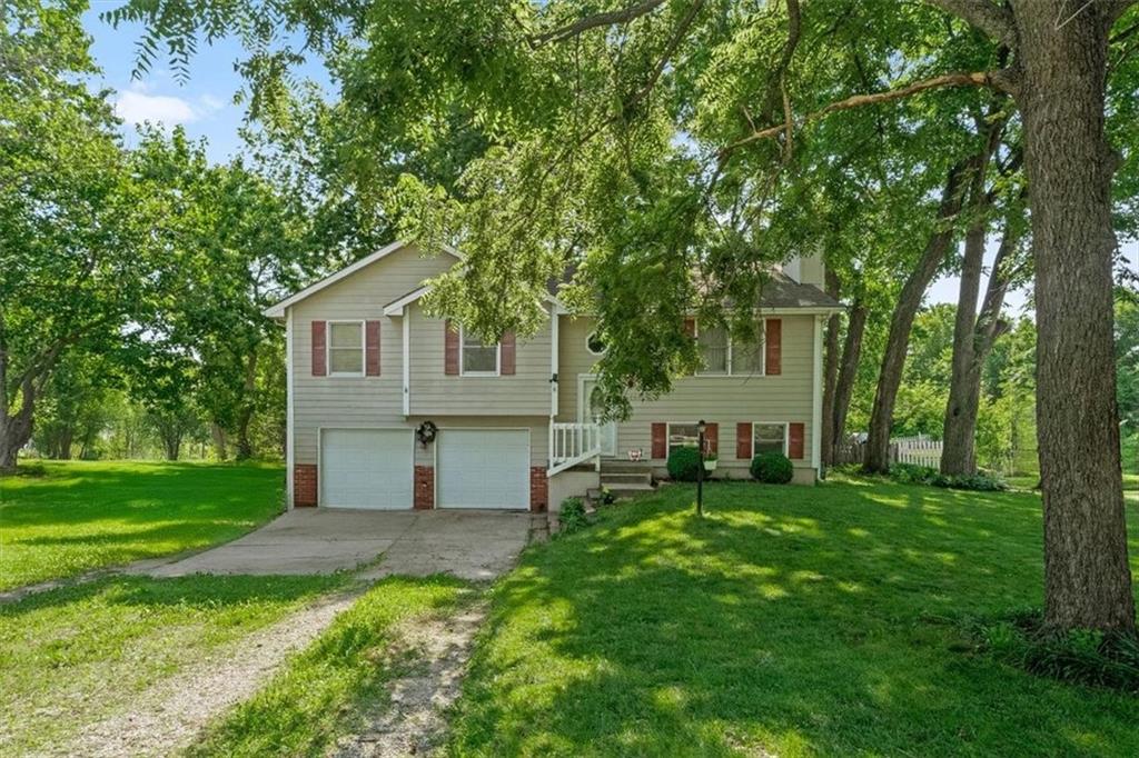 Listing Photo MLS #HMS2559066