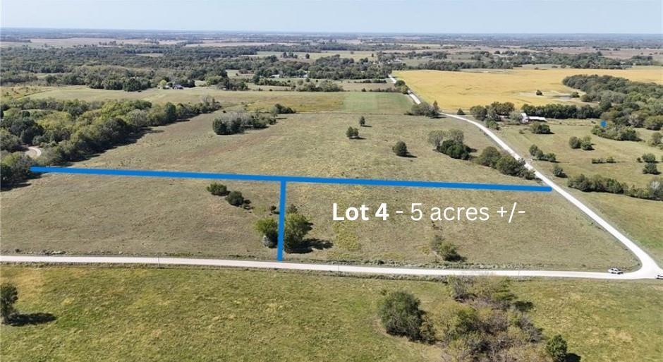 Listing Photo MLS #HMS2559212