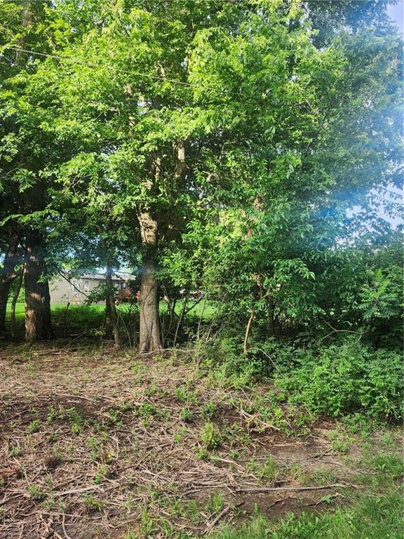 Listing Photo MLS #HMS2559444