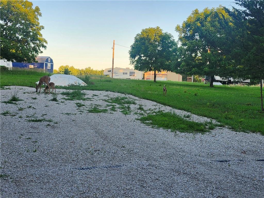 Listing Photo MLS #HMS2559595