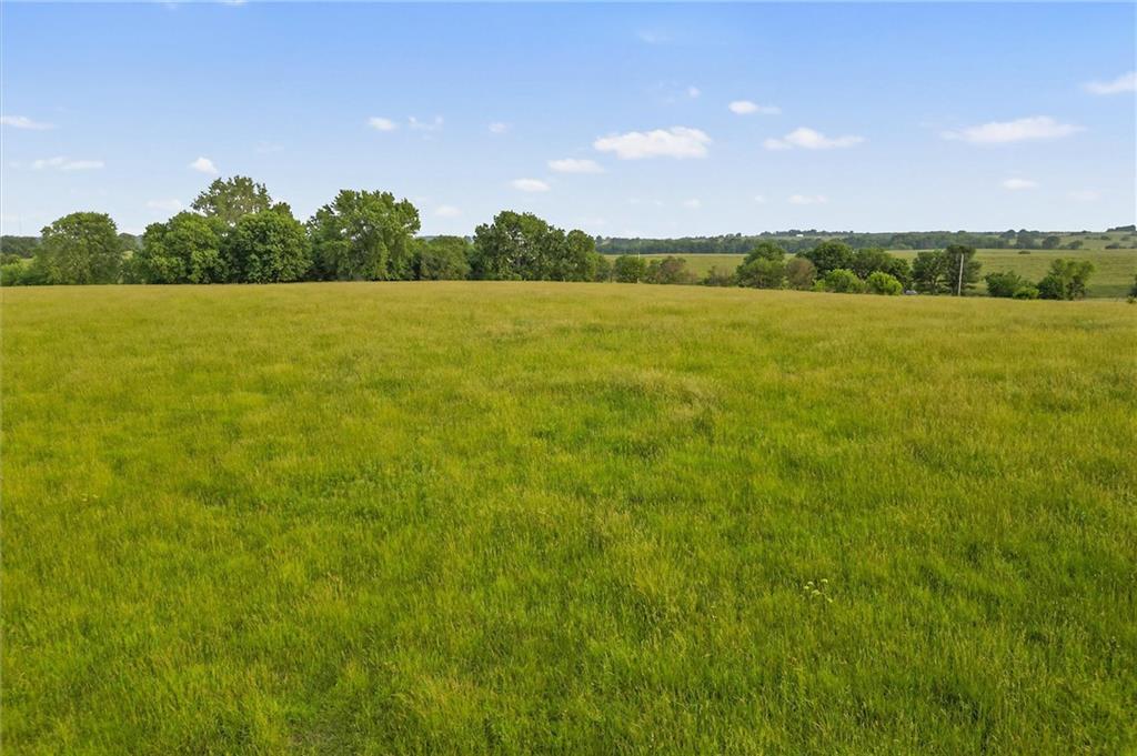 Listing Photo MLS #HMS2559653