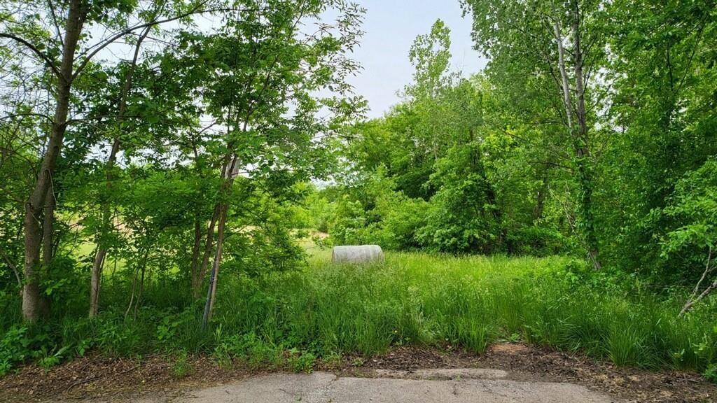Listing Photo MLS #HMS2559675