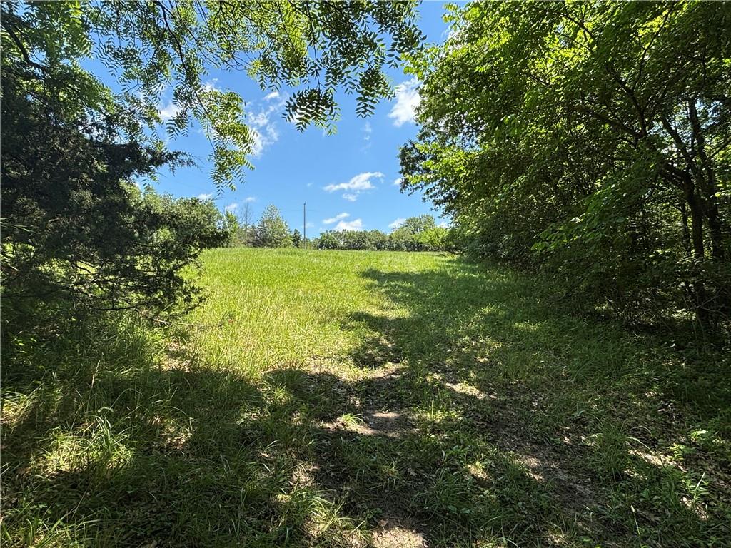 Listing Photo MLS #HMS2559682