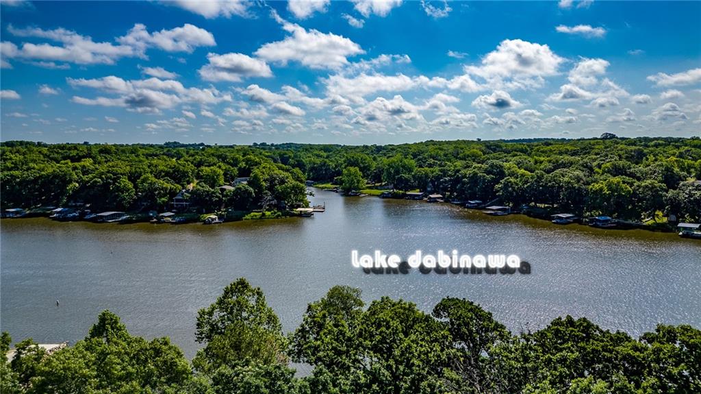 Listing Photo MLS #HMS2559686