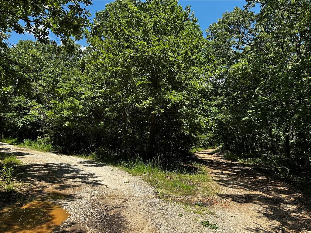 Listing Photo MLS #HMS2559773