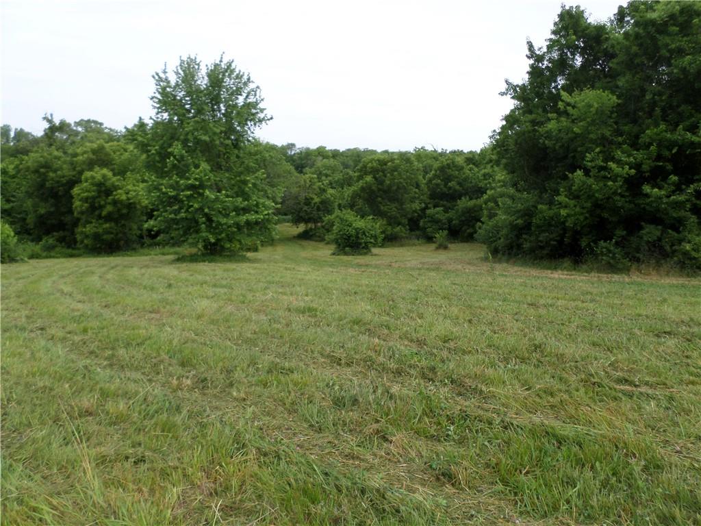 Listing Photo MLS #HMS2559841