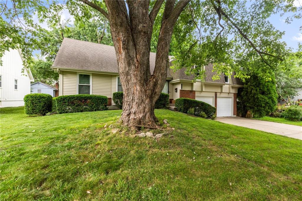 Listing Photo MLS #HMS2559896