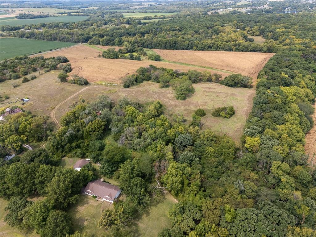 Listing Photo MLS #HMS2559950