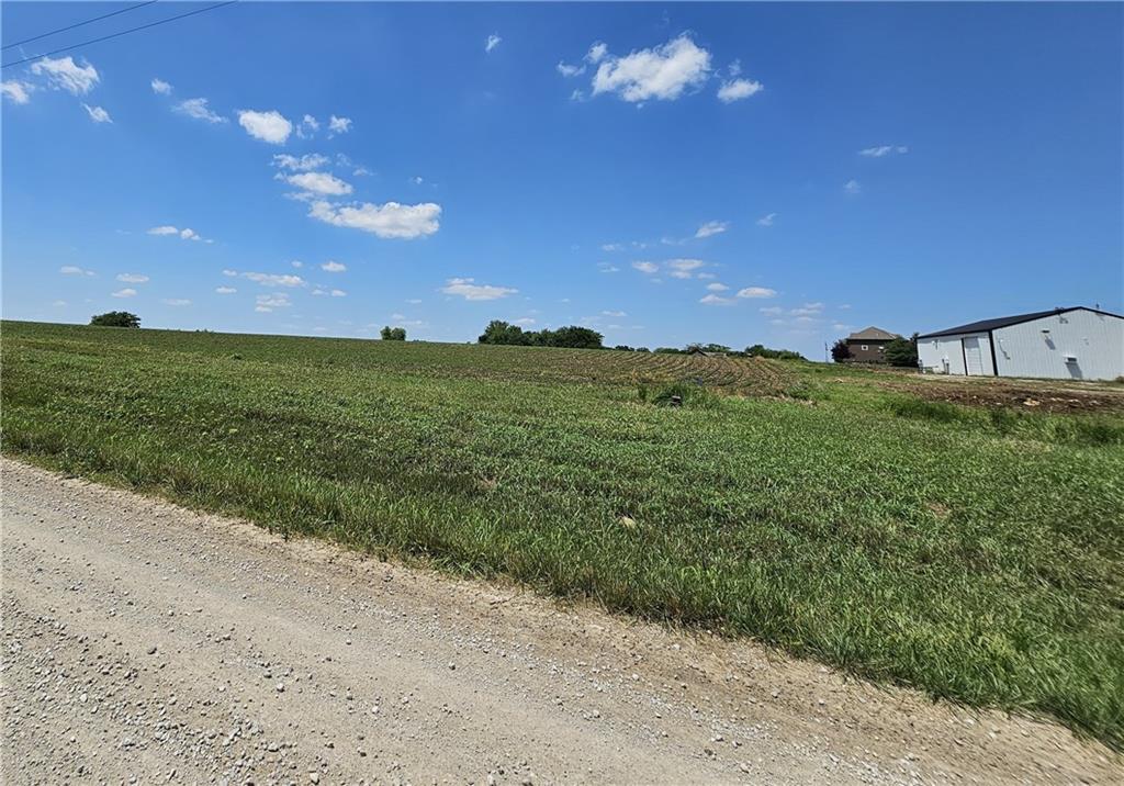 Listing Photo MLS #HMS2559961