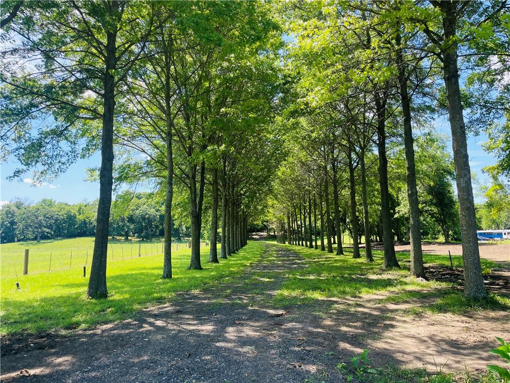 Listing Photo MLS #HMS2559968