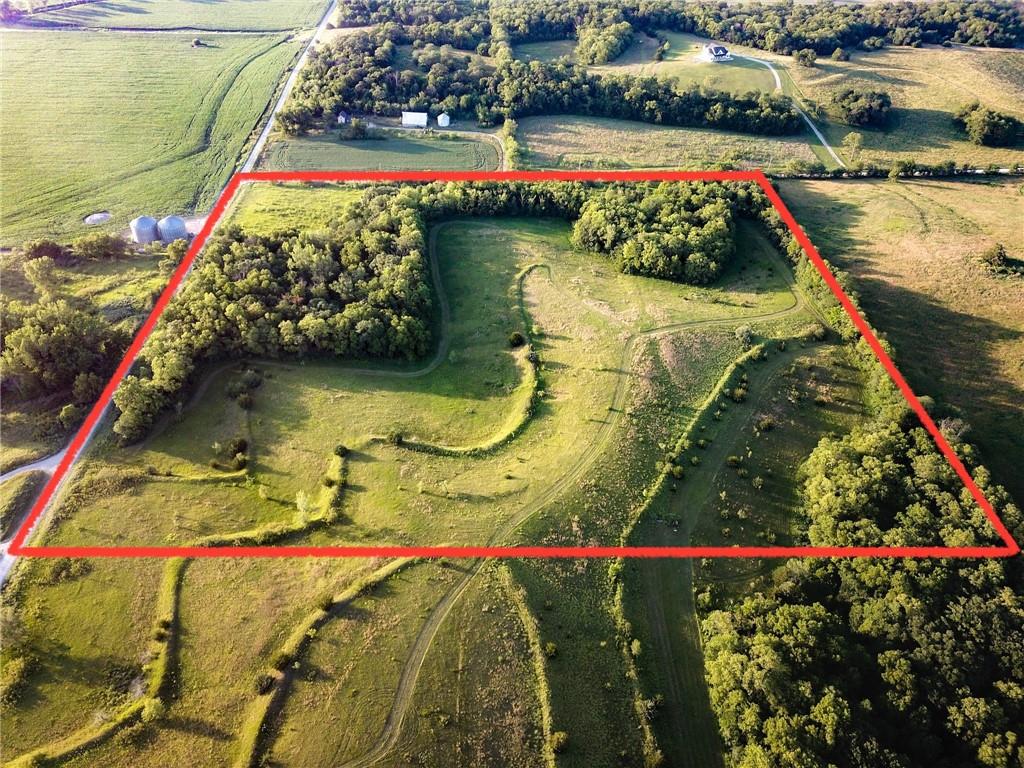 Listing Photo MLS #HMS2560155