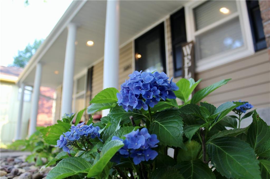 Listing Photo MLS #HMS2560259