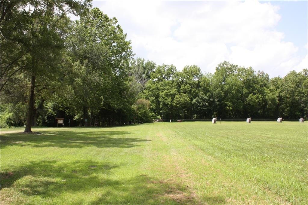 Listing Photo MLS #HMS2561389