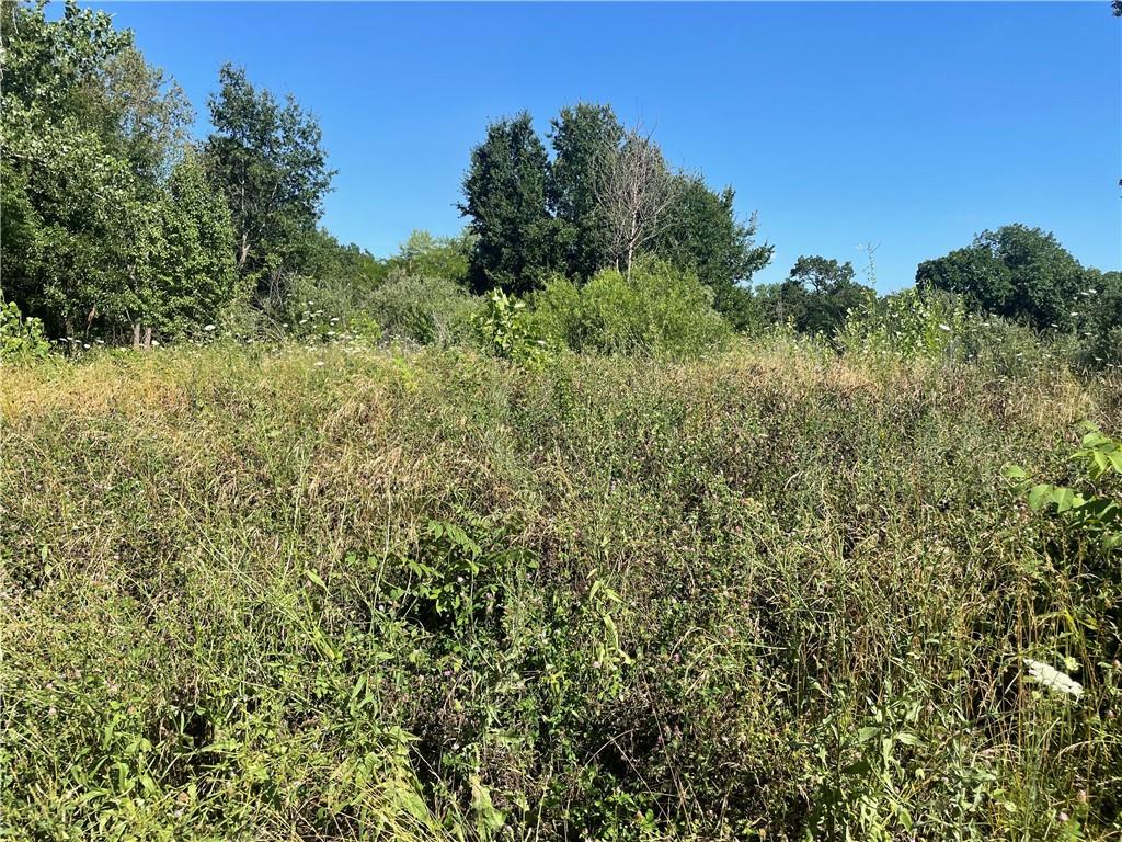 Listing Photo MLS #HMS2561417