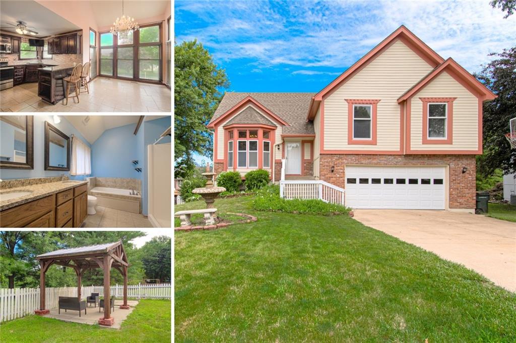 Listing Photo MLS #HMS2561685