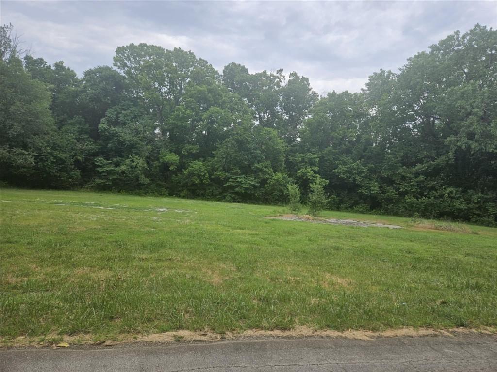 Listing Photo MLS #HMS2561906