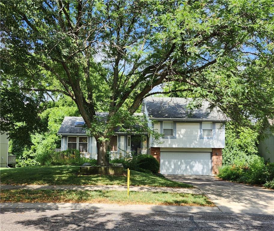 Listing Photo MLS #HMS2562020