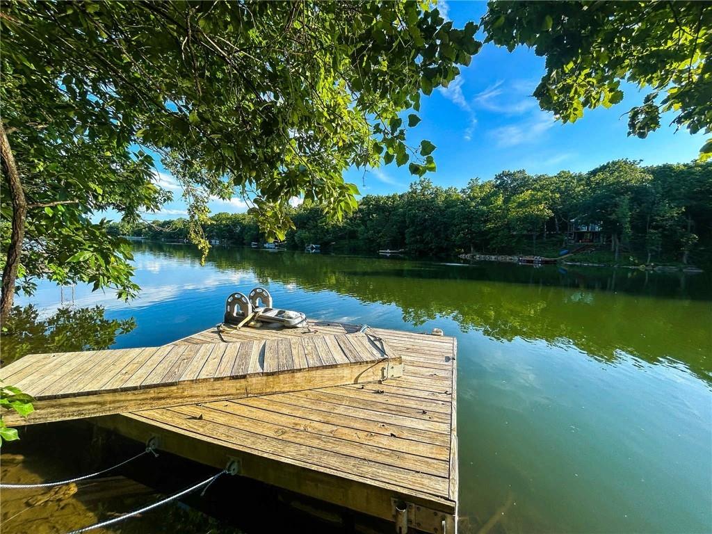 Listing Photo MLS #HMS2562160
