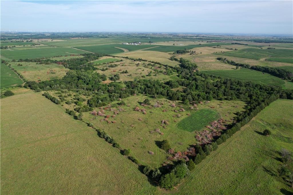 Listing Photo MLS #HMS2562267