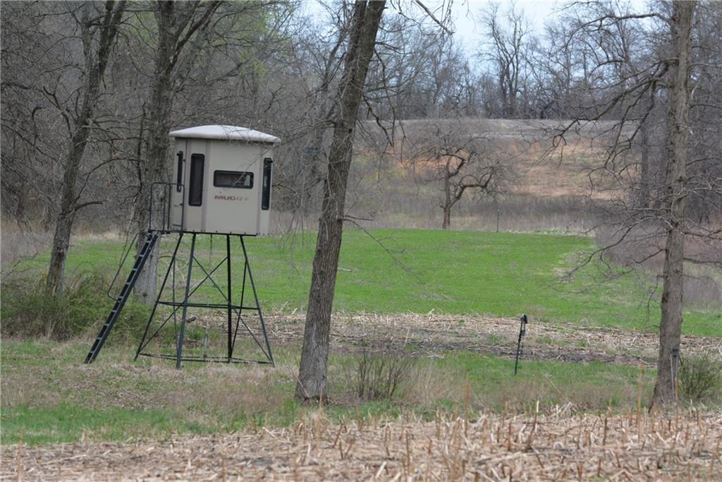 Listing Photo MLS #HMS2562279