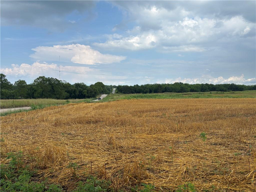Listing Photo MLS #HMS2562390