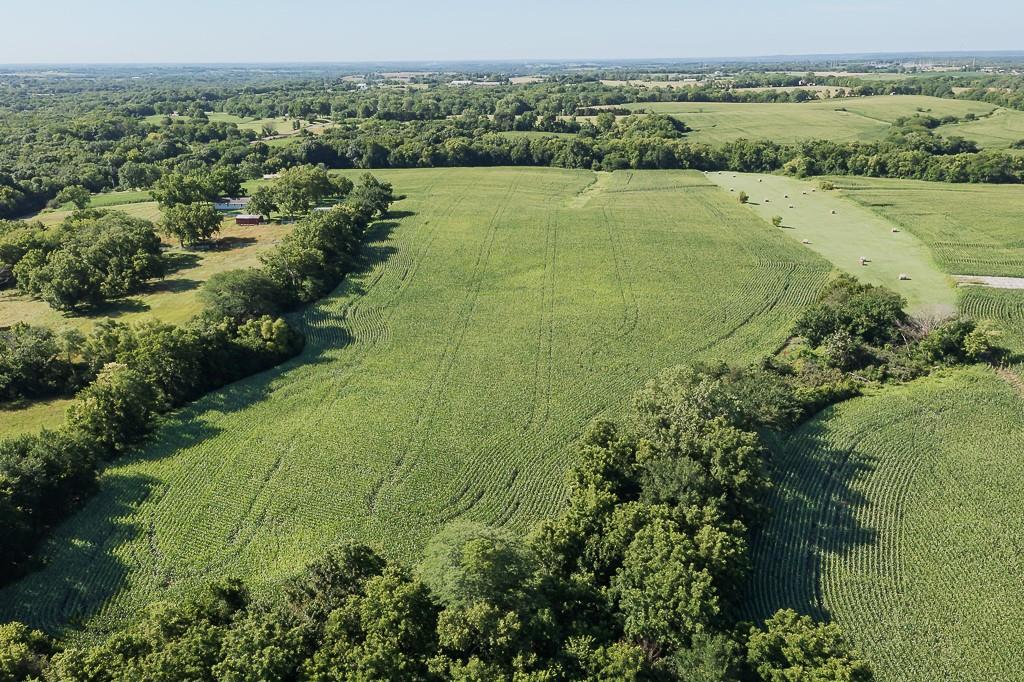 Listing Photo MLS #HMS2562406
