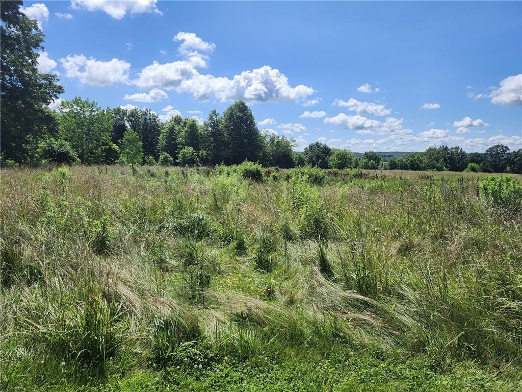 Listing Photo MLS #HMS2562424