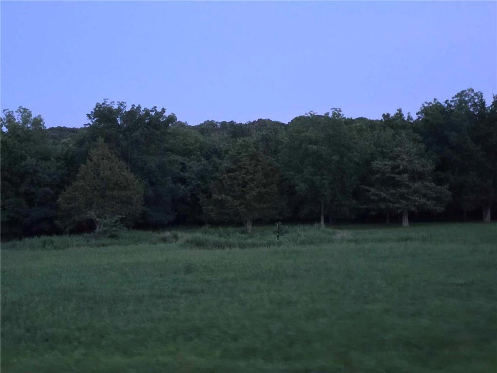Listing Photo MLS #HMS2562430