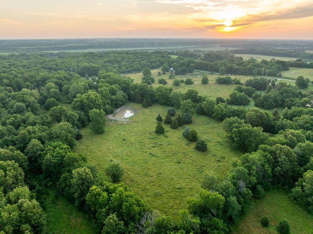 Listing Photo MLS #HMS2562448