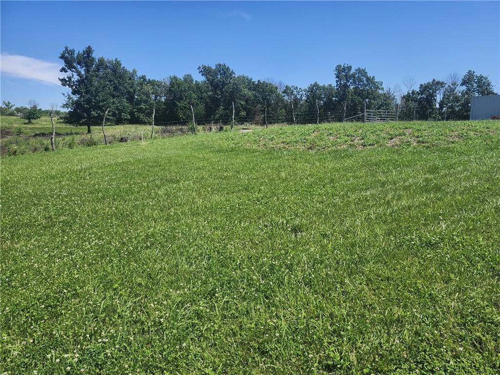 Listing Photo MLS #HMS2562506