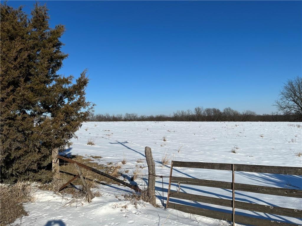 Listing Photo MLS #HMS2562673