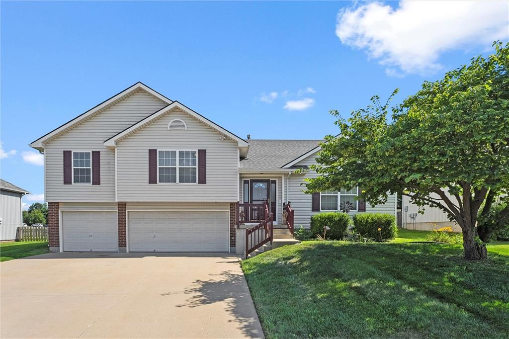 Listing Photo MLS #HMS2562709