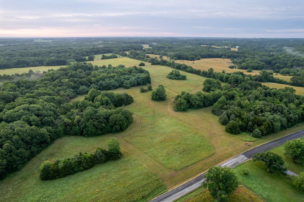 Listing Photo MLS #HMS2562755