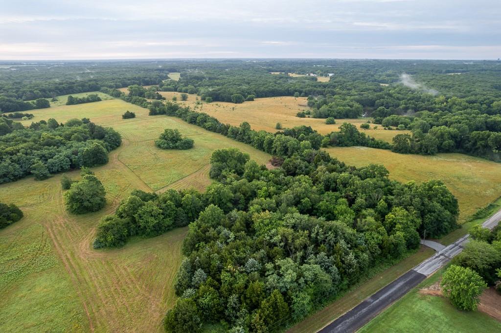 Listing Photo MLS #HMS2562757