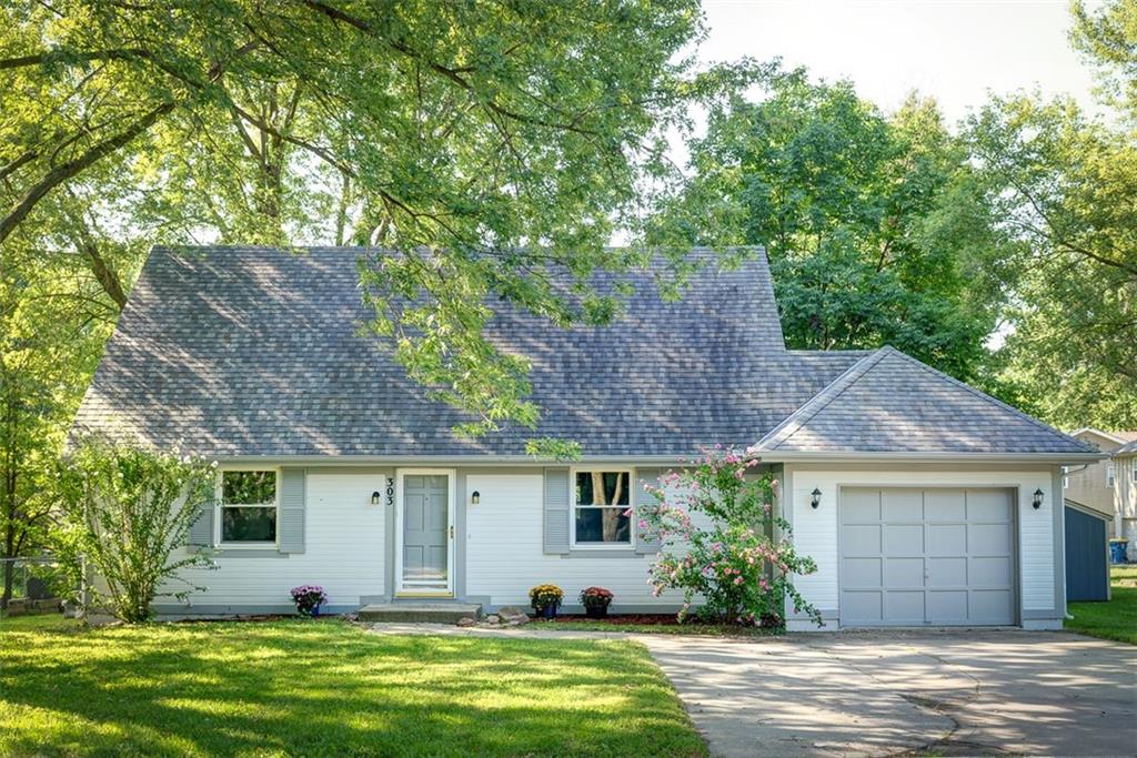 Listing Photo MLS #HMS2562987