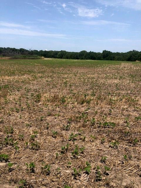 Listing Photo MLS #HMS2563128