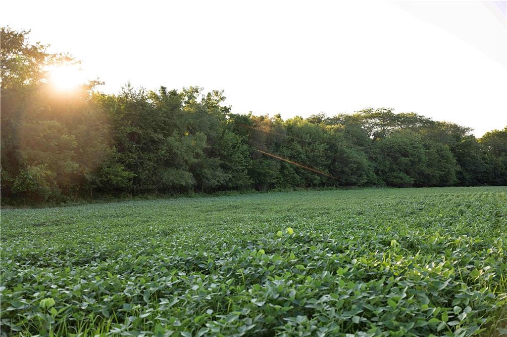 Listing Photo MLS #HMS2563373