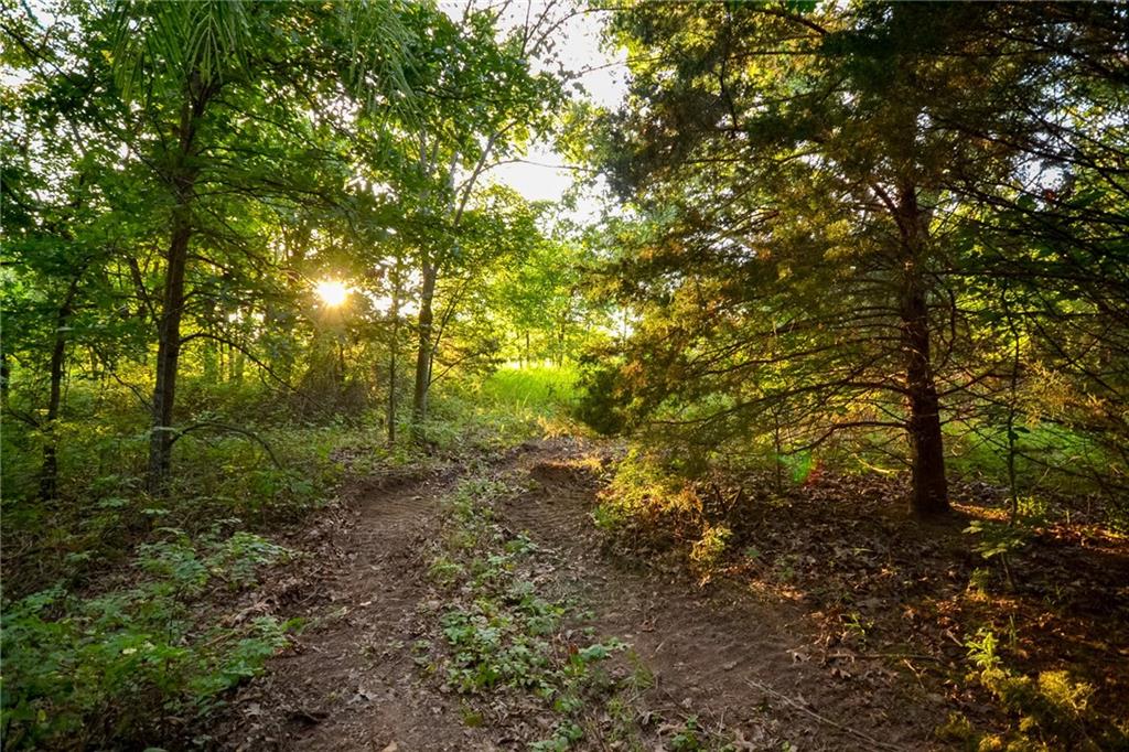 Listing Photo MLS #HMS2563465