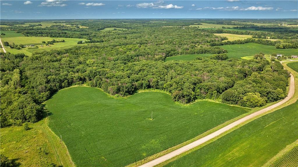 Listing Photo MLS #HMS2563523