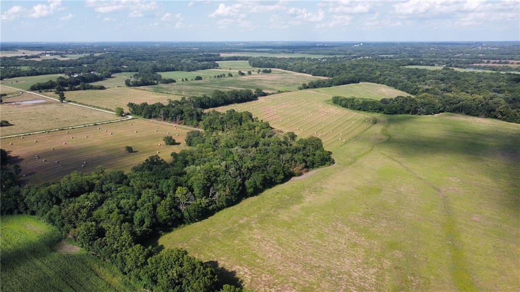 Listing Photo MLS #HMS2563609