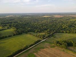 Listing Photo MLS #HMS2563694