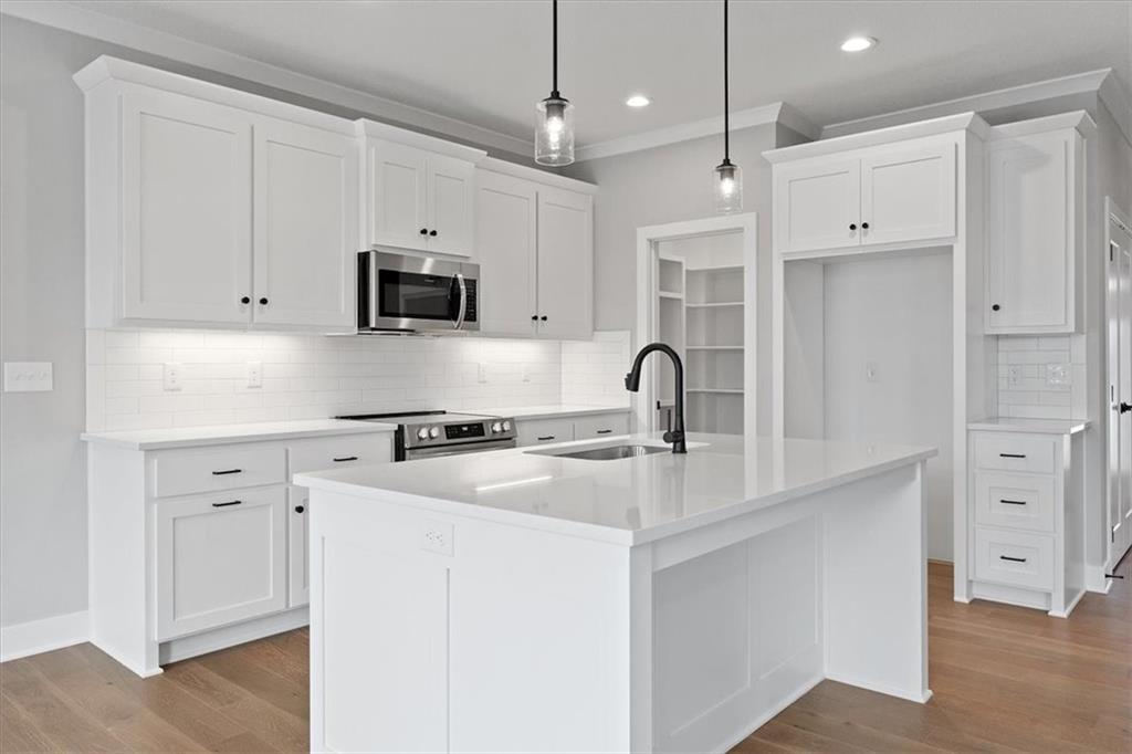 Listing Photo MLS #HMS2563901
