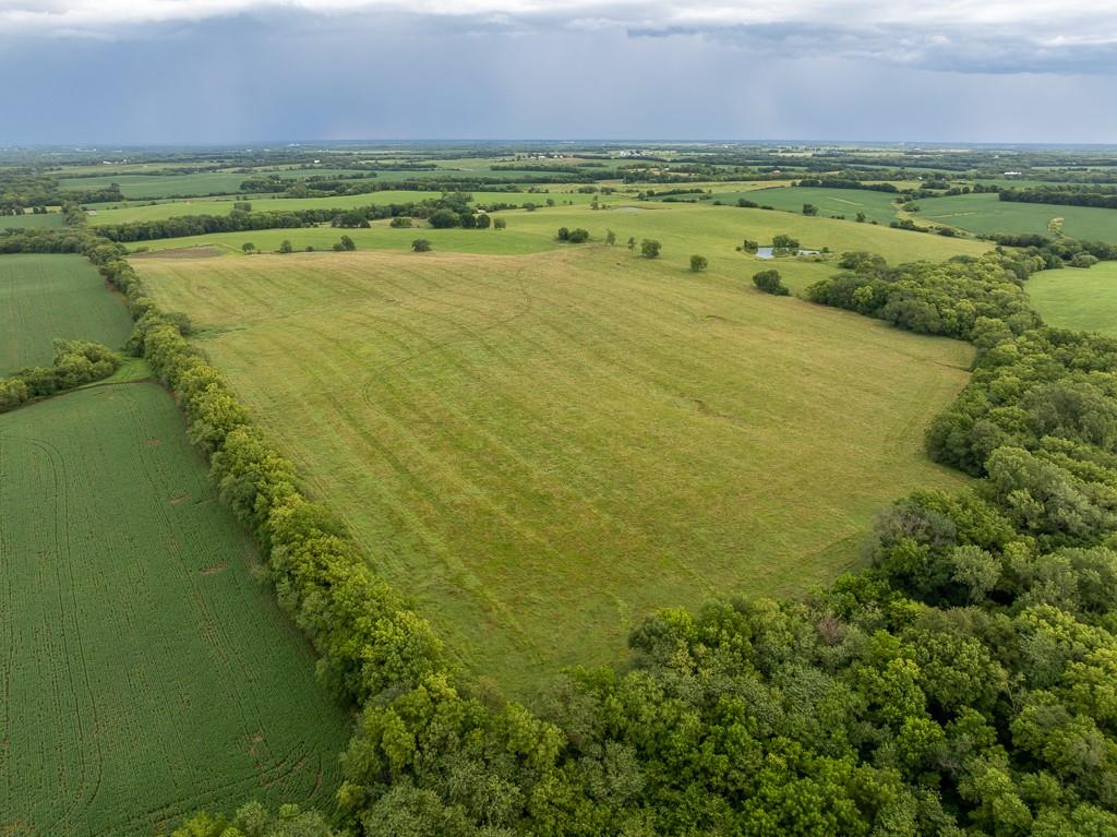 Listing Photo MLS #HMS2563945